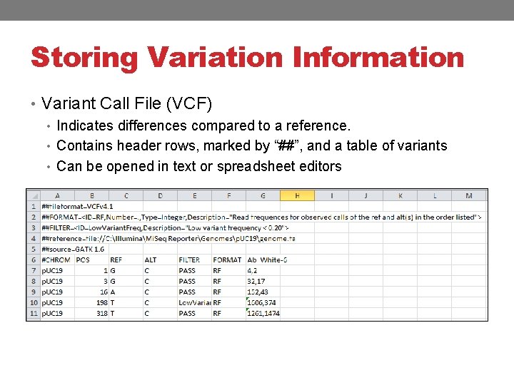 Storing Variation Information • Variant Call File (VCF) • Indicates differences compared to a