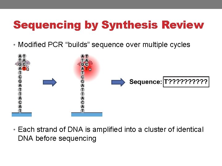 Sequencing by Synthesis Review • Modified PCR “builds” sequence over multiple cycles • Each