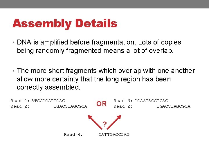 Assembly Details • DNA is amplified before fragmentation. Lots of copies being randomly fragmented
