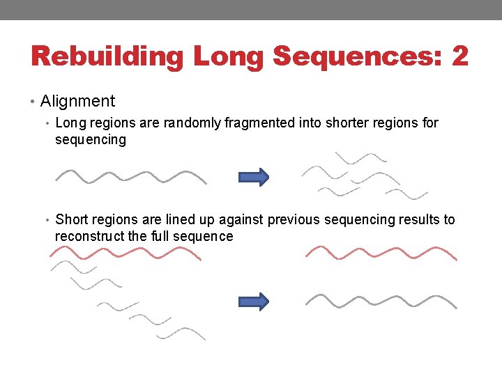 Rebuilding Long Sequences: 2 • Alignment • Long regions are randomly fragmented into shorter