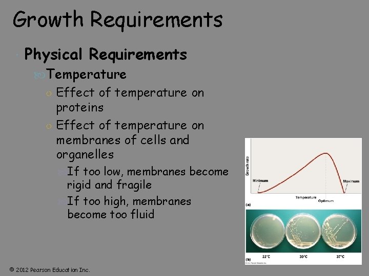 Growth Requirements Physical Requirements Temperature ○ Effect of temperature on proteins ○ Effect of