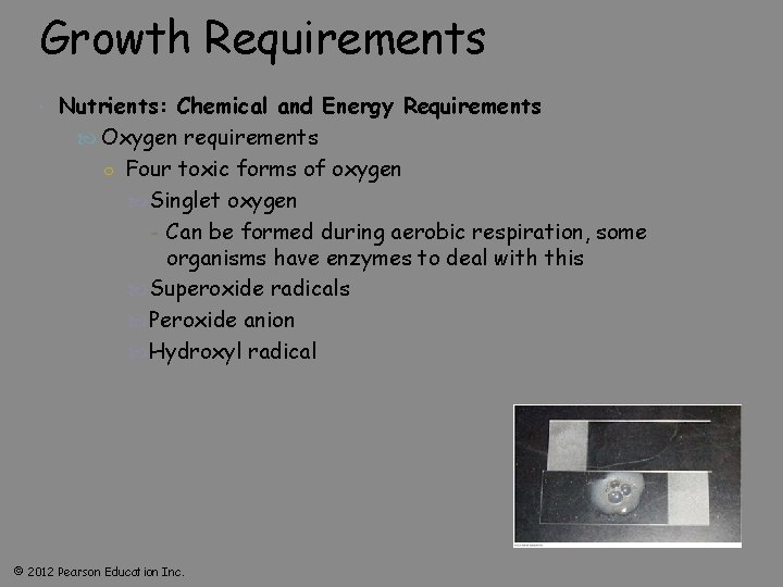 Growth Requirements Nutrients: Chemical and Energy Requirements Oxygen requirements ○ Four toxic forms of