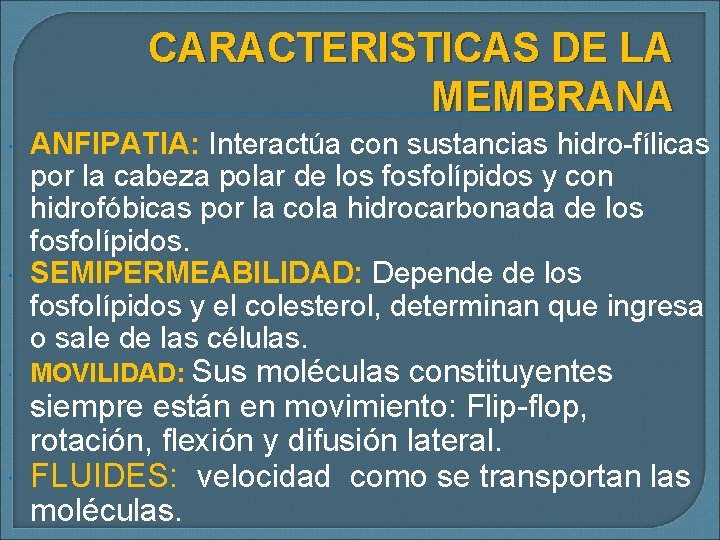 CARACTERISTICAS DE LA MEMBRANA ANFIPATIA: Interactúa con sustancias hidro-fílicas por la cabeza polar de