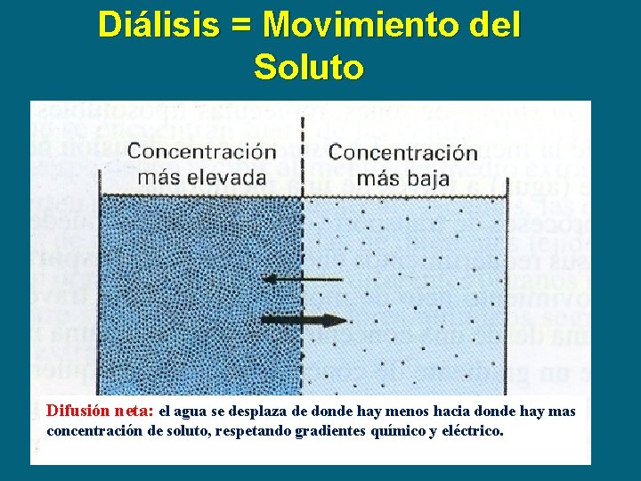 Diálisis = Movimiento del Soluto Difusión neta: el agua se desplaza de donde hay