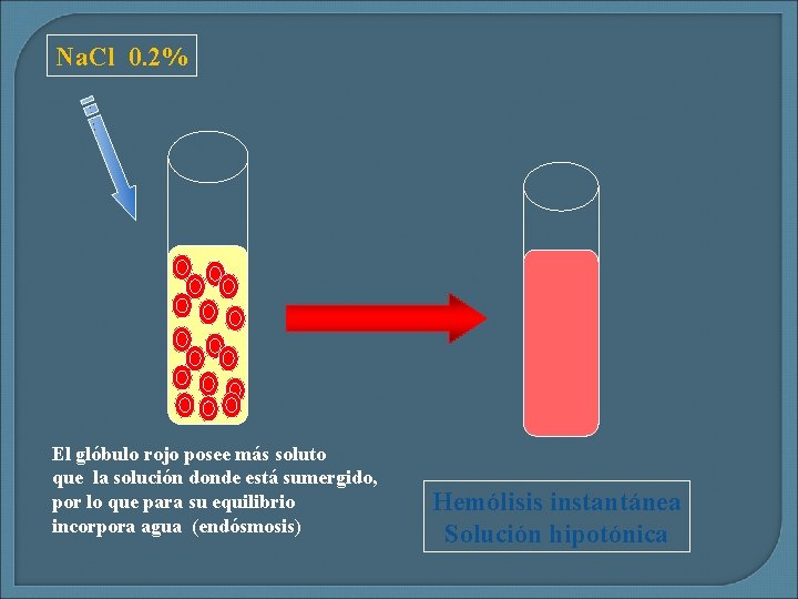 Na. Cl 0. 2% El glóbulo rojo posee más soluto que la solución donde