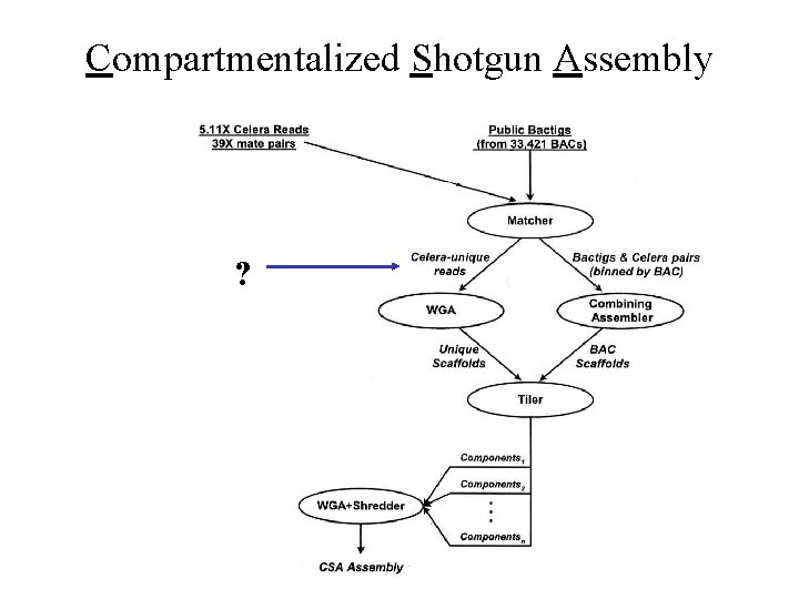 Compartmentalized Shotgun Assembly ? 