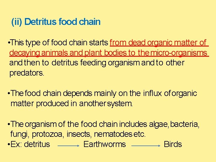(ii) Detritus food chain • This type of food chain starts from dead organic
