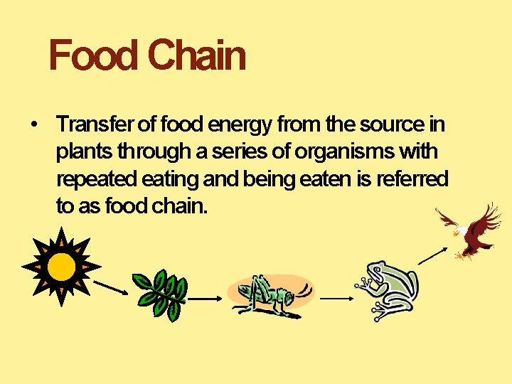 Food Chain • Transfer of food energy from the source in plants through a