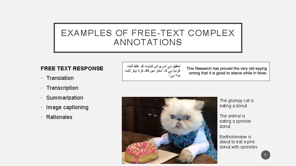 EXAMPLES OF FREE-TEXT COMPLEX ANNOTATIONS FREE TEXT RESPONSE • Translation • Transcription • Summarization
