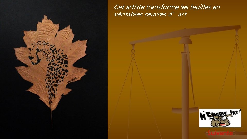 Cet artiste transforme les feuilles en véritables œuvres d’art Suivante 