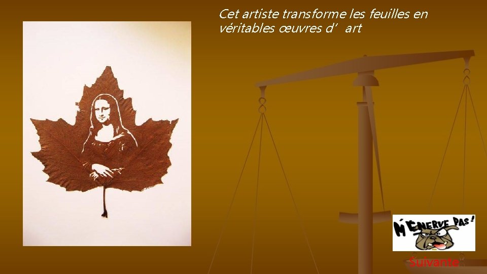 Cet artiste transforme les feuilles en véritables œuvres d’art Suivante 