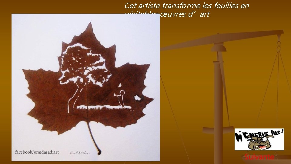 Cet artiste transforme les feuilles en véritables œuvres d’art Suivante 