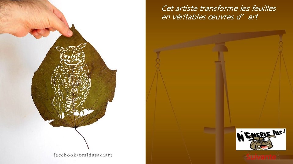 Cet artiste transforme les feuilles en véritables œuvres d’art Suivante 