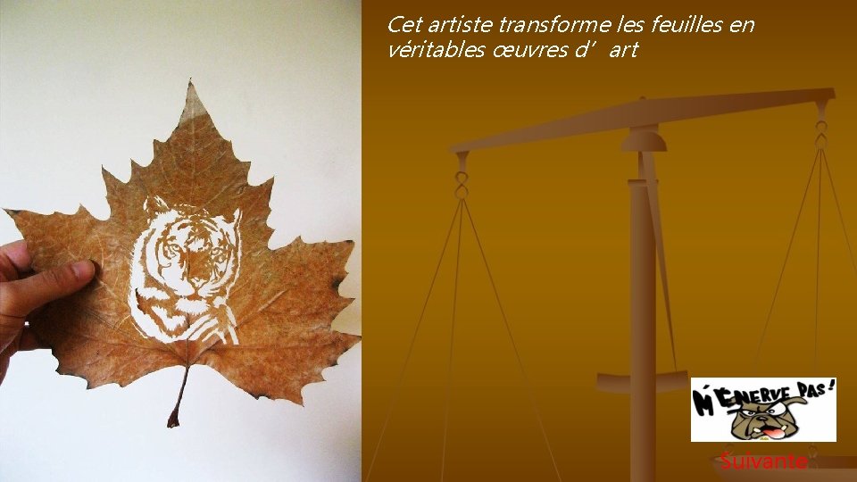 Cet artiste transforme les feuilles en véritables œuvres d’art Suivante 