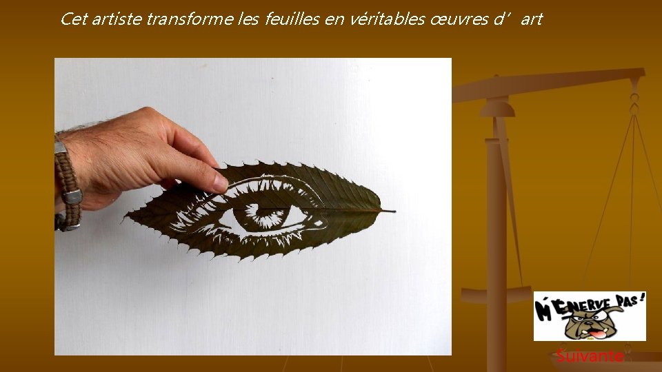 Cet artiste transforme les feuilles en véritables œuvres d’art Suivante 