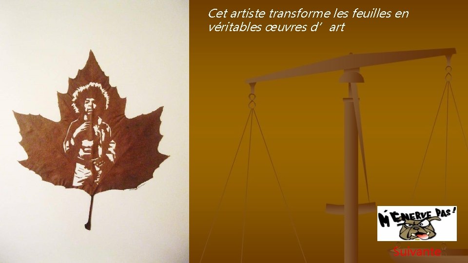 Cet artiste transforme les feuilles en véritables œuvres d’art Suivante 