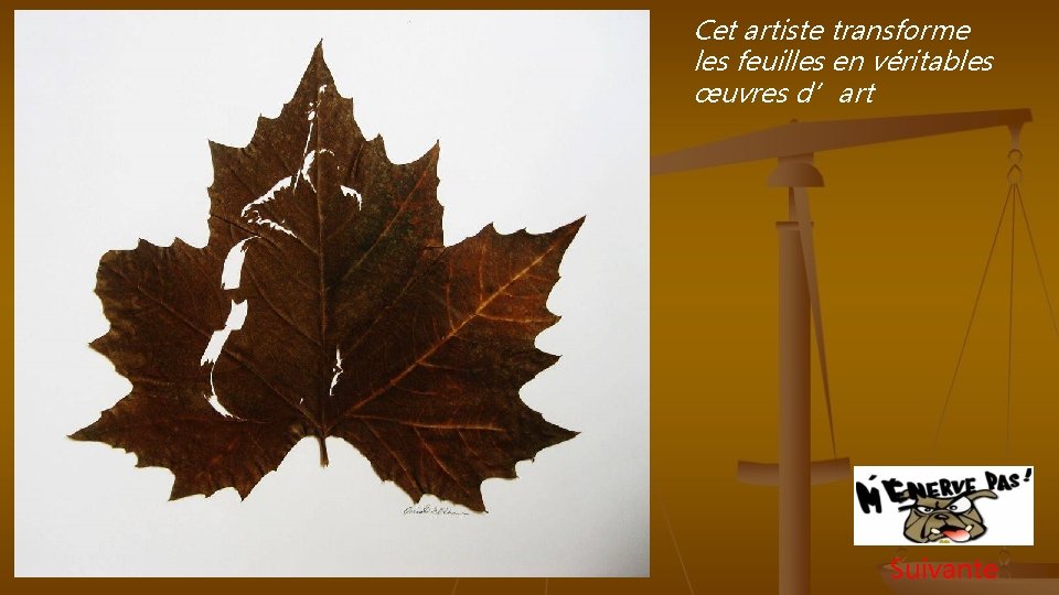 Cet artiste transforme les feuilles en véritables œuvres d’art Suivante 