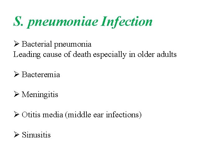 S. pneumoniae Infection Ø Bacterial pneumonia Leading cause of death especially in older adults