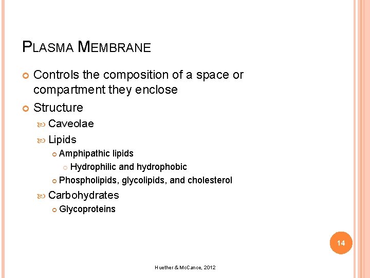 PLASMA MEMBRANE Controls the composition of a space or compartment they enclose Structure Caveolae