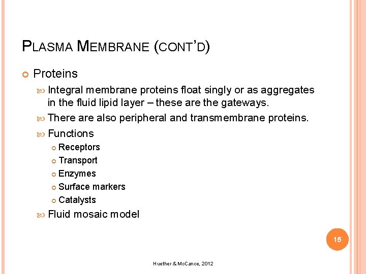 PLASMA MEMBRANE (CONT’D) Proteins Integral membrane proteins float singly or as aggregates in the