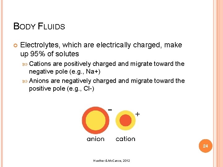 BODY FLUIDS Electrolytes, which are electrically charged, make up 95% of solutes Cations are