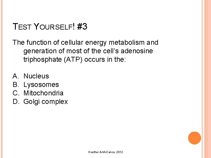 TEST YOURSELF! #3 The function of cellular energy metabolism and generation of most of