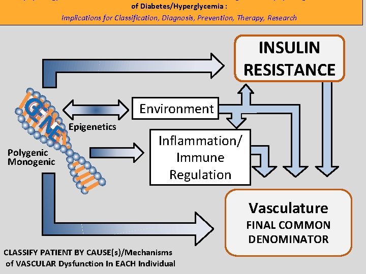 of Diabetes/Hyperglycemia : Implications for Classification, Diagnosis, Prevention, Therapy, Research INSULIN RESISTANCE GE N of Diabetes/Hyperglycemia : Implications for Classification, Diagnosis, Prevention, Therapy, Research INSULIN RESISTANCE GE N