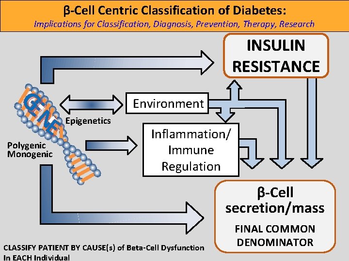 β-Cell Centric Classification of Diabetes: Implications for Classification, Diagnosis, Prevention, Therapy, Research INSULIN RESISTANCE β-Cell Centric Classification of Diabetes: Implications for Classification, Diagnosis, Prevention, Therapy, Research INSULIN RESISTANCE