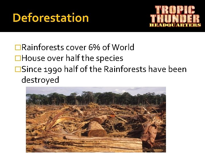 Deforestation �Rainforests cover 6% of World �House over half the species �Since 1990 half