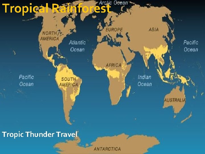 Tropical Rainforest Tropic Thunder Travel 