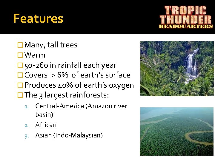 Features � Many, tall trees � Warm � 50 -260 in rainfall each year