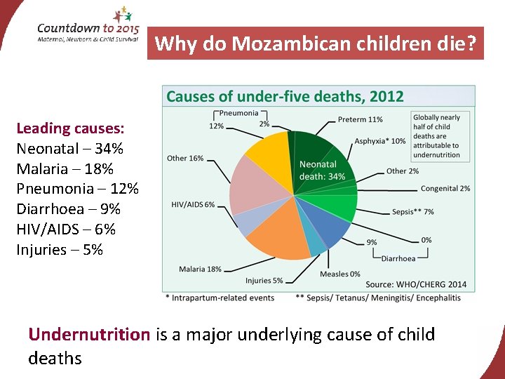Why do Mozambican children die? Leading causes: Neonatal – 34% Malaria – 18% Pneumonia