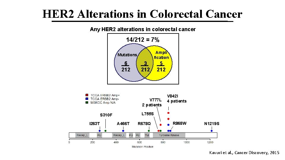 HER 2 Alterations in Colorectal Cancer Any HER 2 alterations in colorectal cancer 14/212