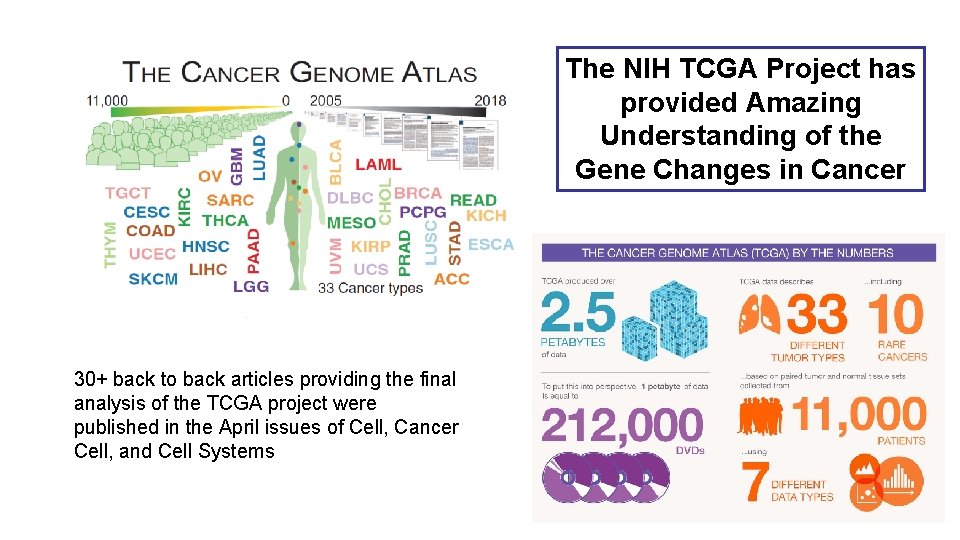 The NIH TCGA Project has provided Amazing Understanding of the Gene Changes in Cancer