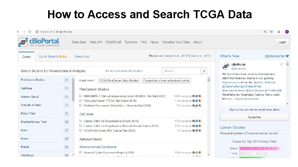 How to Access and Search TCGA Data 