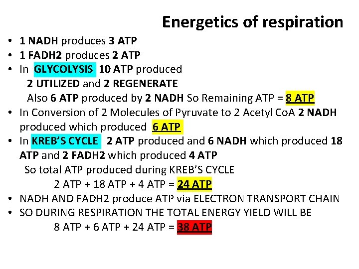 Energetics of respiration • 1 NADH produces 3 ATP • 1 FADH 2 produces