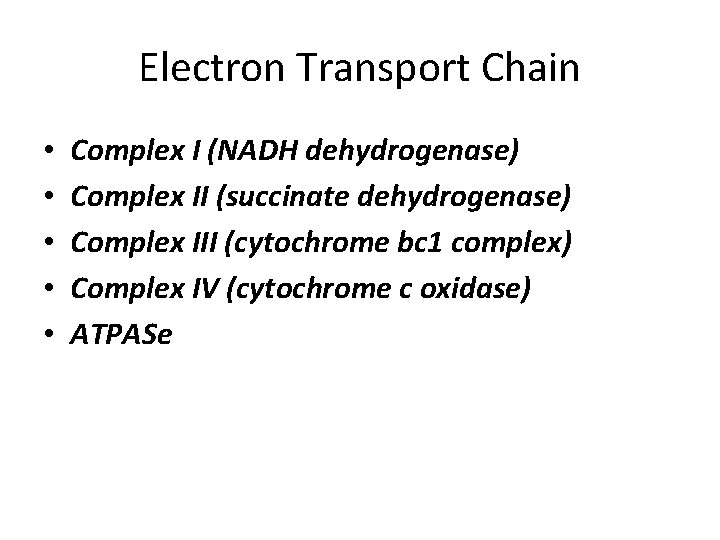 Electron Transport Chain • • • Complex I (NADH dehydrogenase) Complex II (succinate dehydrogenase)