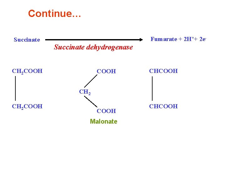 Continue… Succinate Fumarate + 2 H++ 2 e- Succinate dehydrogenase CH 2 COOH CHCOOH