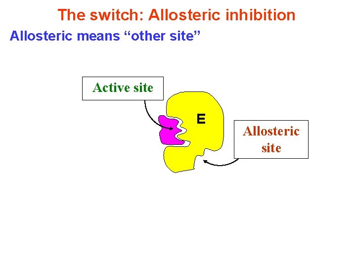 The switch: Allosteric inhibition Allosteric means “other site” Active site E Allosteric site 