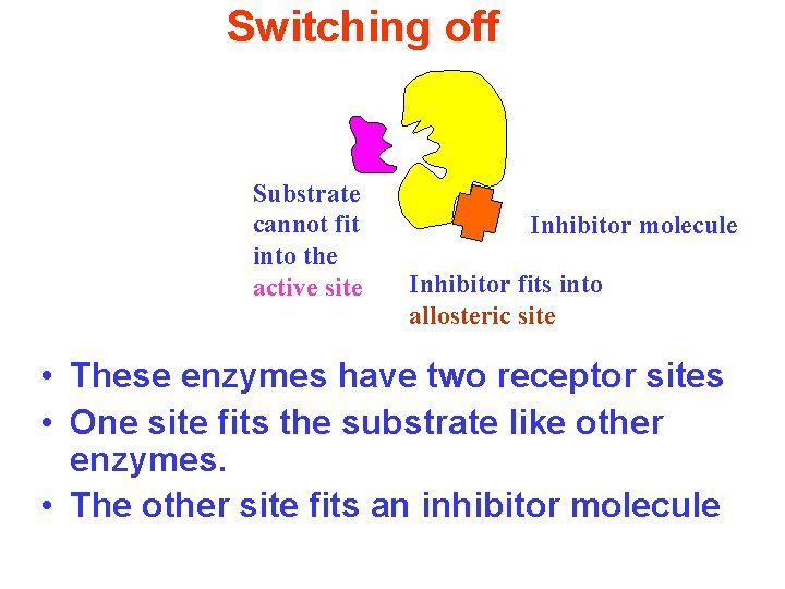 Switching off Substrate cannot fit into the active site Inhibitor molecule Inhibitor fits into