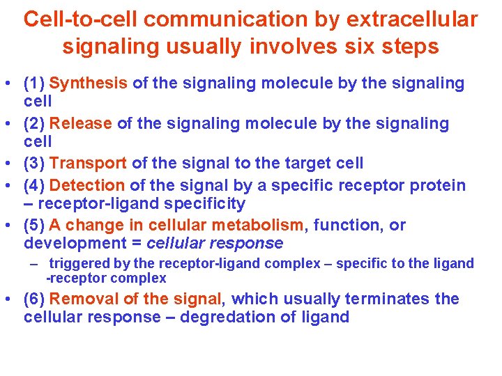 Cell-to-cell communication by extracellular signaling usually involves six steps • (1) Synthesis of the