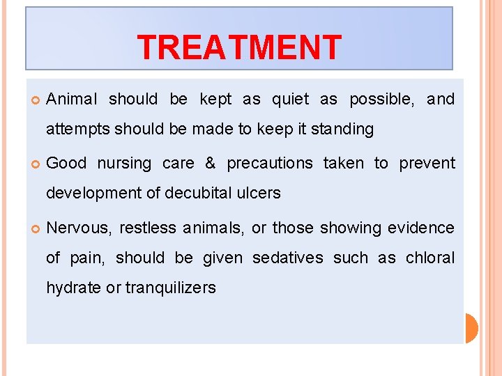 TREATMENT Animal should be kept as quiet as possible, and attempts should be made