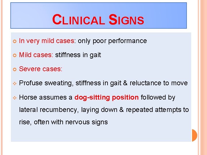 CLINICAL SIGNS In very mild cases: only poor performance Mild cases: stiffness in gait