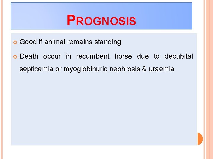 PROGNOSIS Good if animal remains standing Death occur in recumbent horse due to decubital