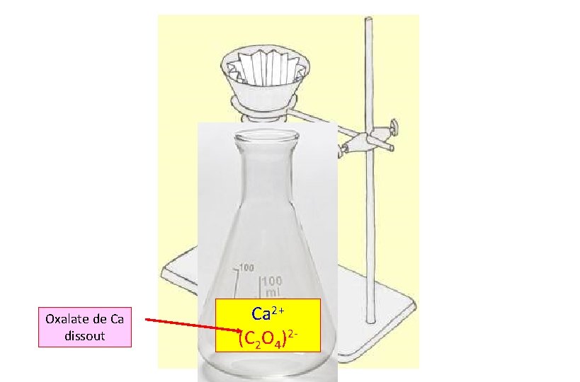Oxalate de Ca dissout Ca 2+ (C 2 O 4)2 - 