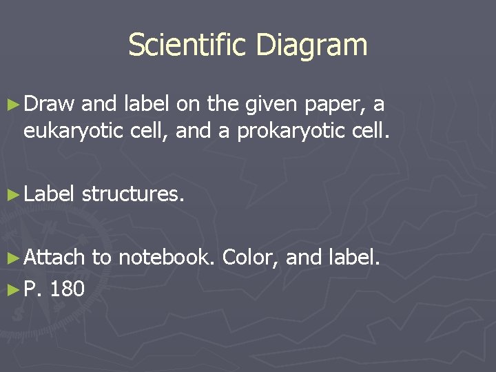 Scientific Diagram ► Draw and label on the given paper, a eukaryotic cell, and