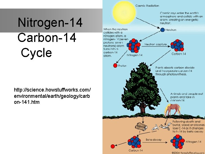 Nitrogen-14 Carbon-14 Cycle http: //science. howstuffworks. com/ environmental/earth/geology/carb on-141. htm 
