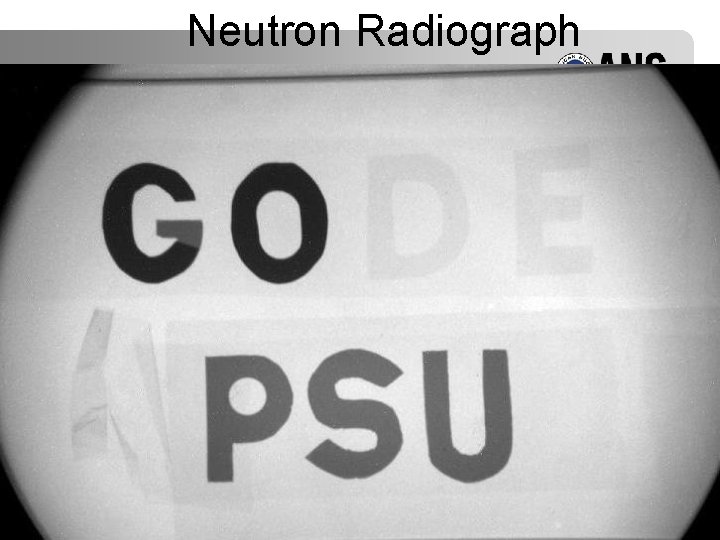 Neutron Radiograph 