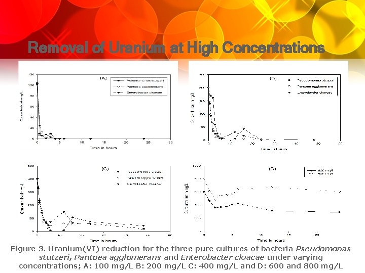 Removal of Uranium at High Concentrations Figure 3. Uranium(VI) reduction for the three pure