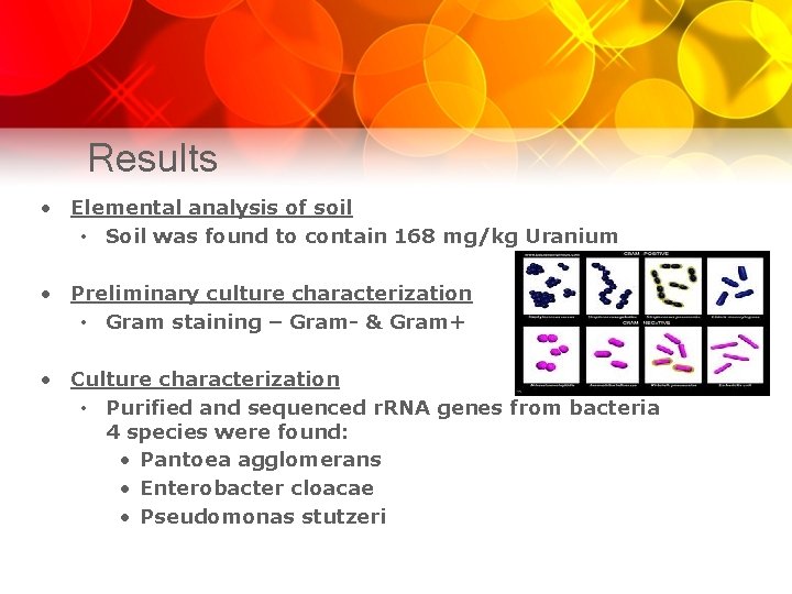 Results • Elemental analysis of soil • Soil was found to contain 168 mg/kg
